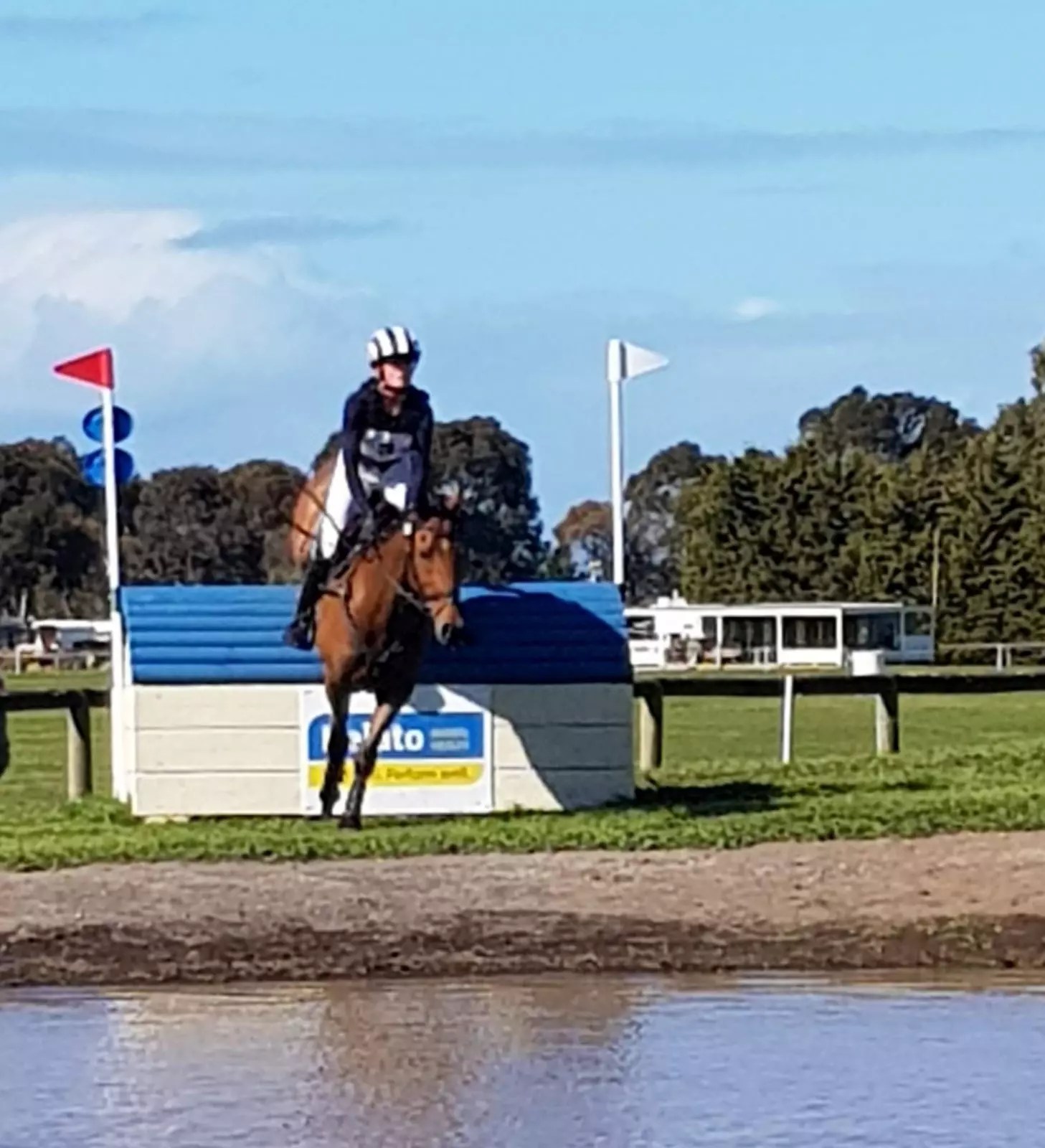 Equestrian Events 2023 Nz