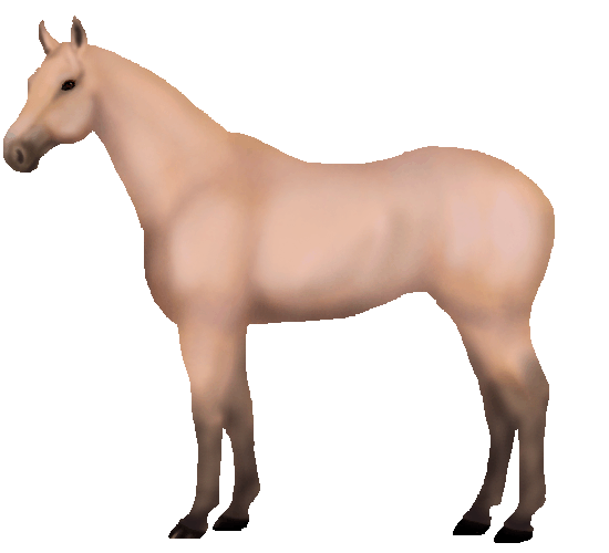 Snafflez' HorseMaker Design and Dress Up Your Pony!