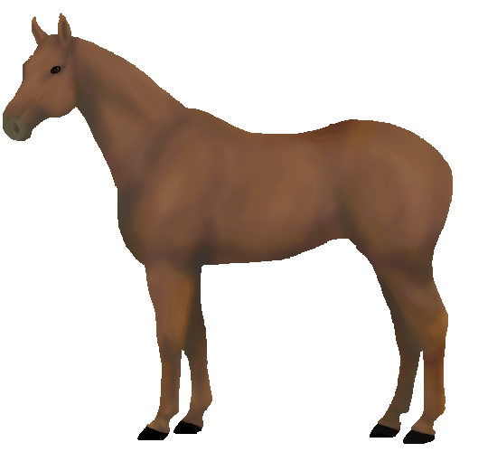 Snafflez' HorseMaker Design and Dress Up Your Pony!