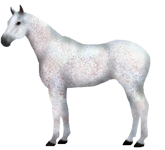 Snafflez' HorseMaker Design and Dress Up your Horse and Rider for Show