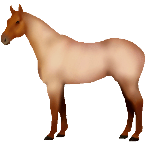Snafflez' HorseMaker Design and Dress Up Your Pony!