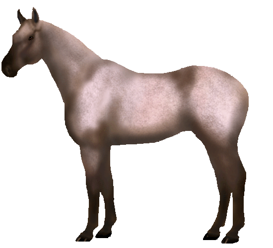 Snafflez' HorseMaker Design and Dress Up Your Pony!