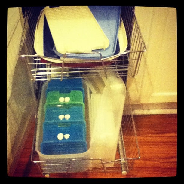 after lower Snail Pace Transformations