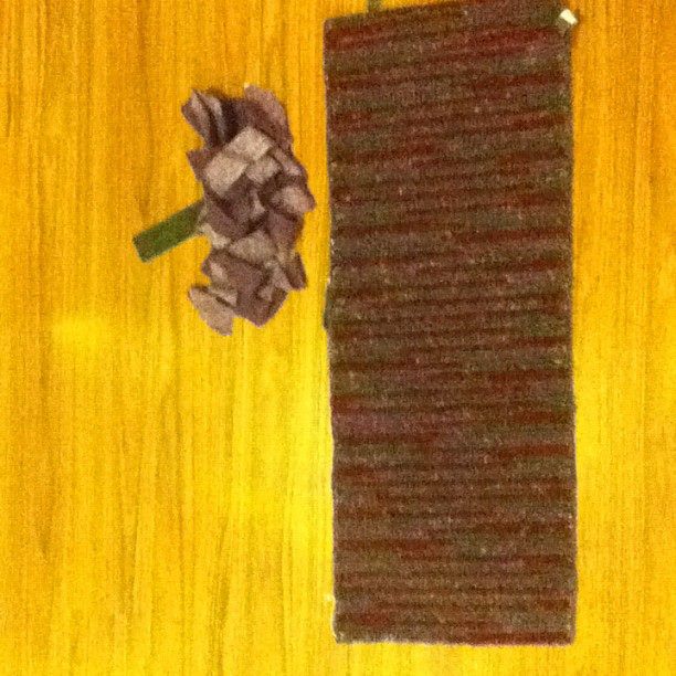 done Snail Pace Transformations