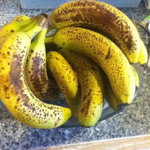 4 Weeks to Fill Your FreezerDay 5 Snail Pace Transformations