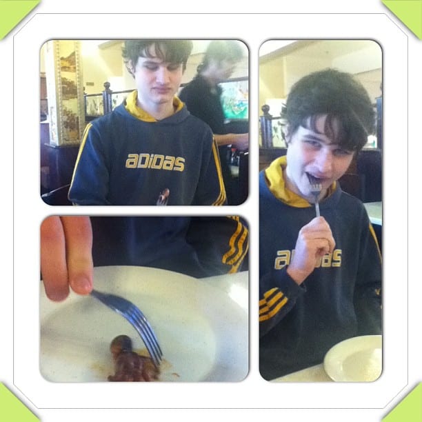 thomassquid Snail Pace Transformations