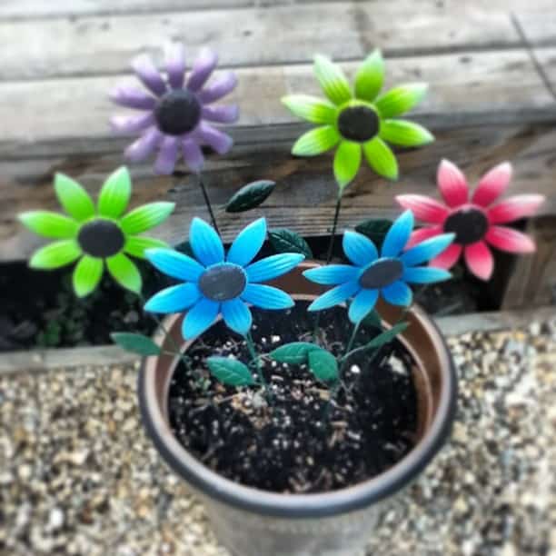 tin flowers Snail Pace Transformations