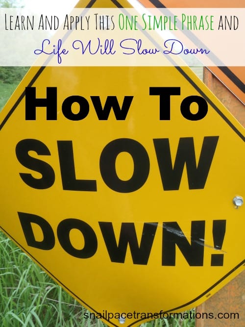 How To Slow Down Snail Pace Transformations