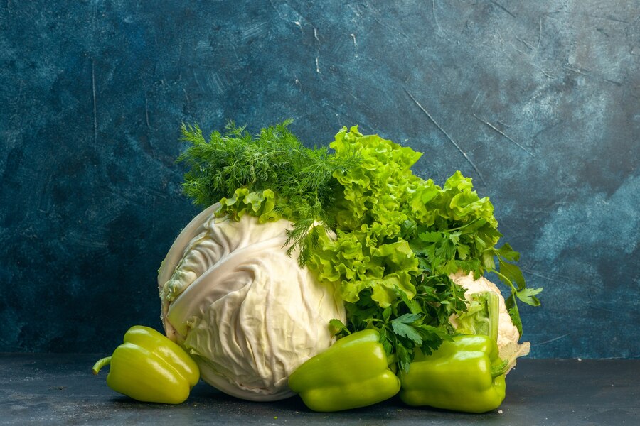 Can Snails Eat Cabbage? SNAILS 101