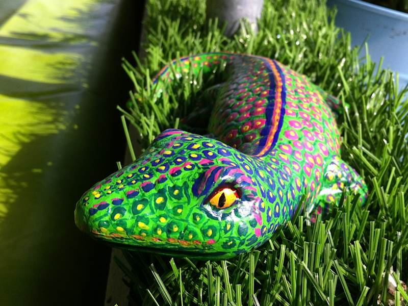 Painted Lizard snake.ch