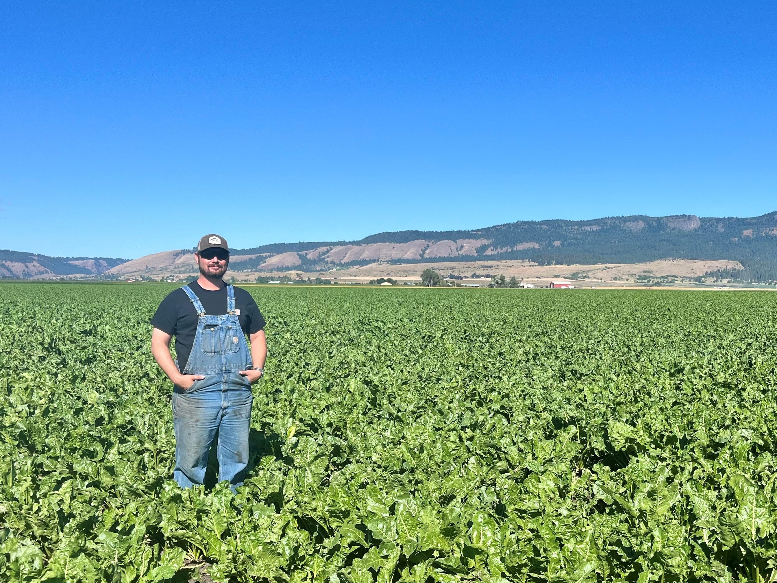 Growing Sugarbeets in Oregon with Austin Arnoldus Snake River