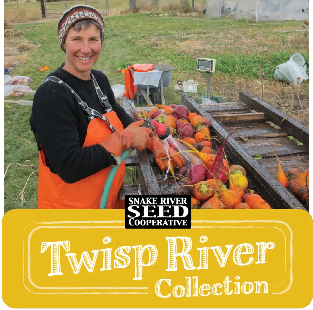 Twisp River Seed Collection Snake River Seed Cooperative