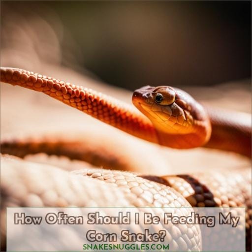 How Long Can a Corn Snake Go Without Eating? All You Need to Know
