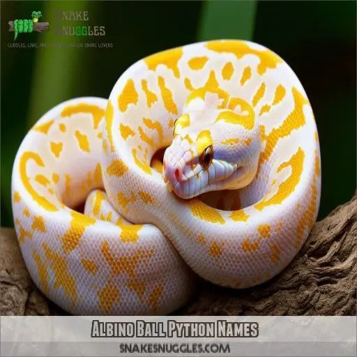 Best Ball Python Names Unique, Mythical, and Fun Naming Ideas for Your