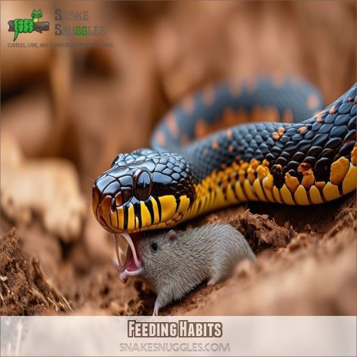 Milk Snakes Eat Mammals, Birds, Amphibians, Reptiles Full Diet Guide