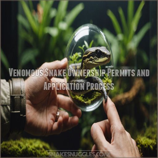 Snake Licenses Your Comprehensive Guide to Legal Reptile Ownership