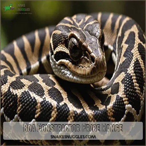 Boa Constrictor Size Chart: Growth, Feeding & Care Tips