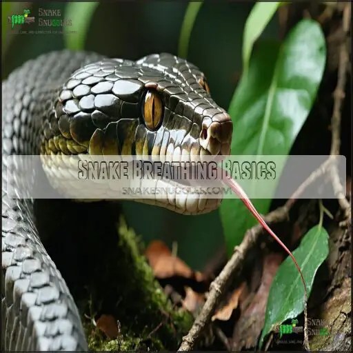 How Do Snakes Breathe? Lungs, Nostrils, and Amazing Adaptations Explained