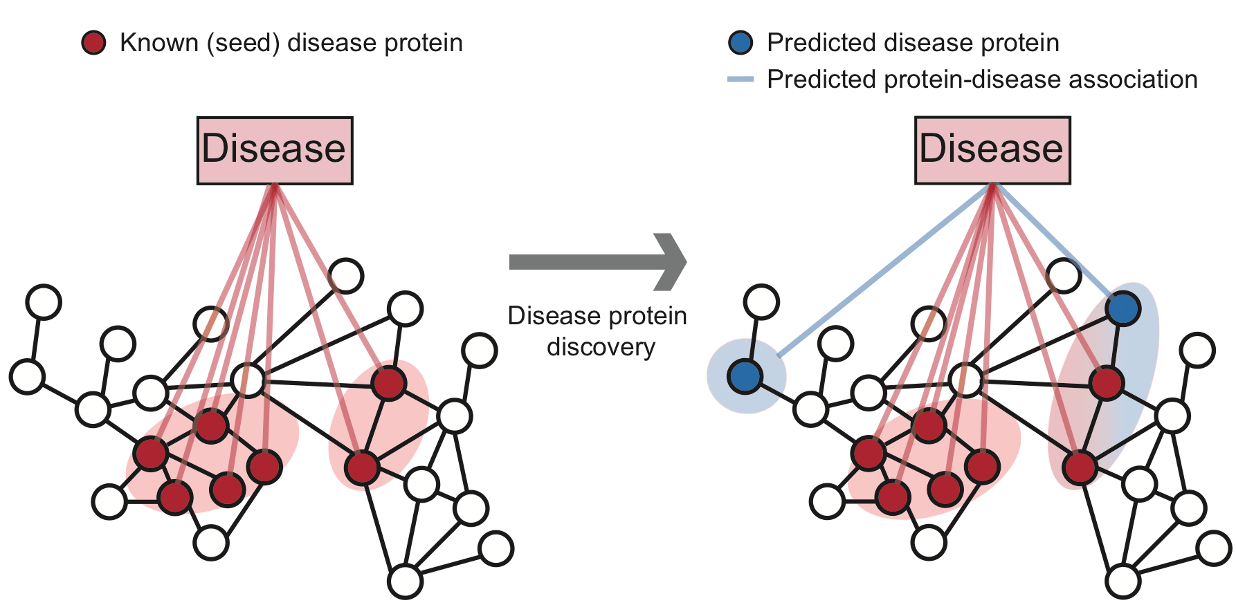 SNAP Disease pathways in the human interactome