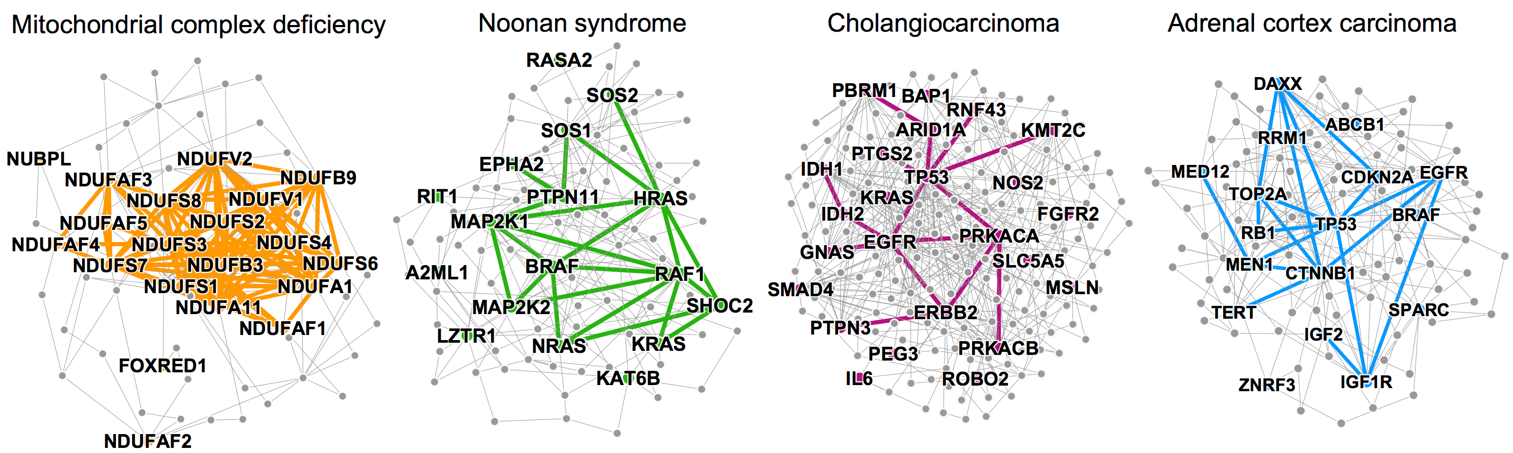 SNAP Disease pathways in the human interactome