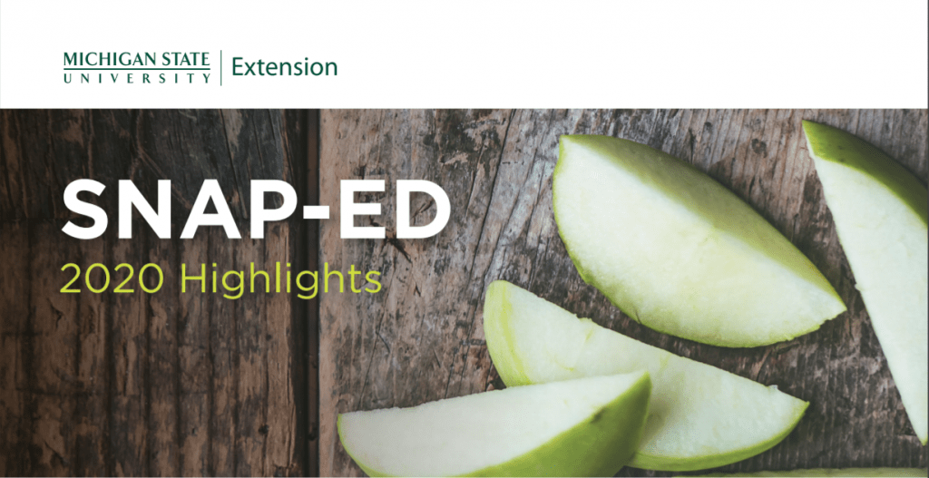 Michigan SNAPEd State Impact Reports SNAPEd
