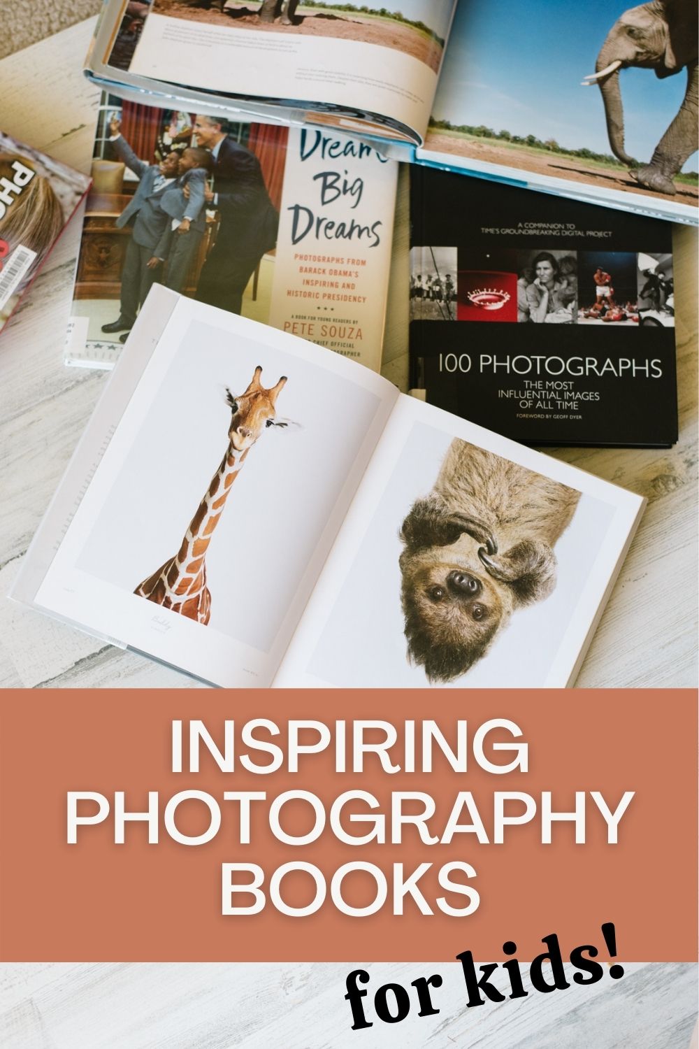 25+ Books for Kids Who Love Taking Photos Snap Happy Mom