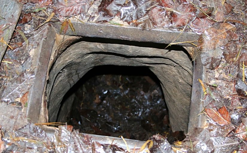 Wet Tunnel Rats Snapping The Globe