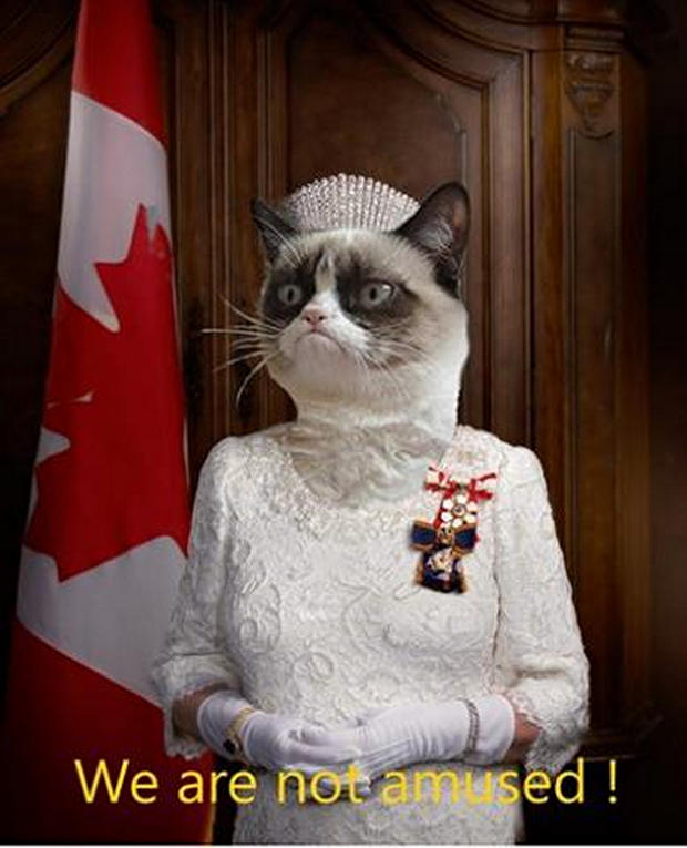 31 Great Grumpy Cat Memes That Will Make You Less Grumpy Snappy Pixels