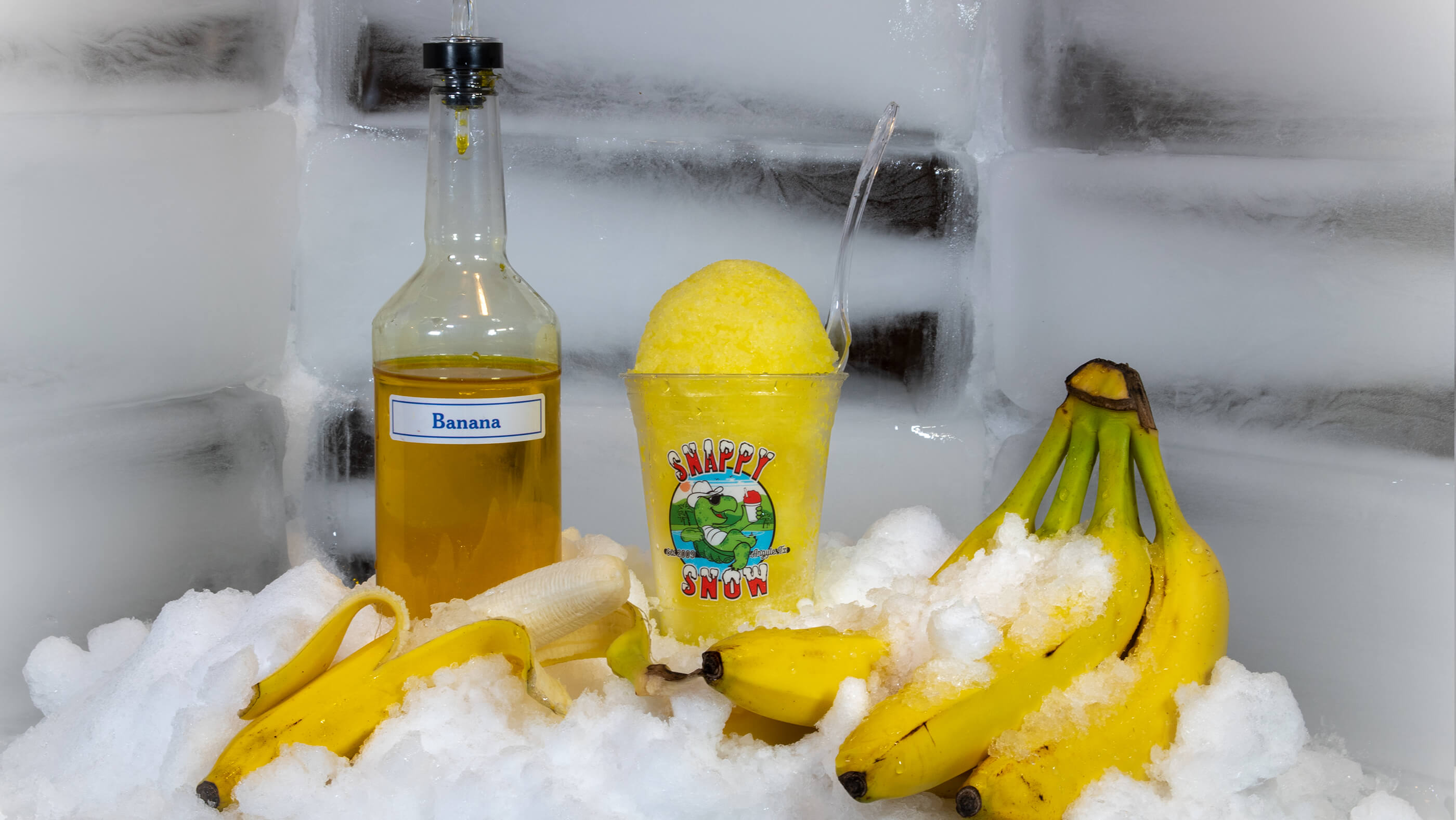 Snappy Snow New Orleans Shaved Ice