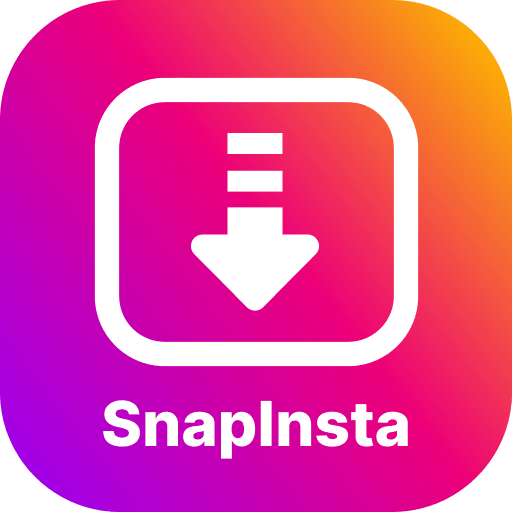 Snapinsta Instagram Video Downloader, Download IG Stories, Videos