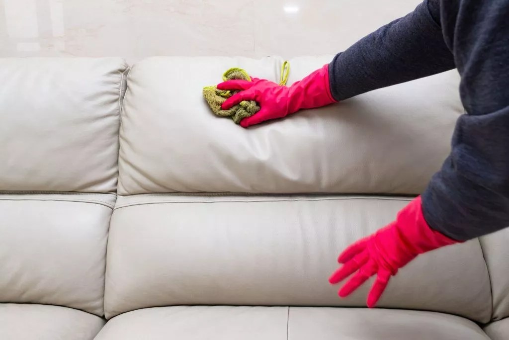 How to Clean Fabric Couch Naturally Without Water at Home? Snap Your