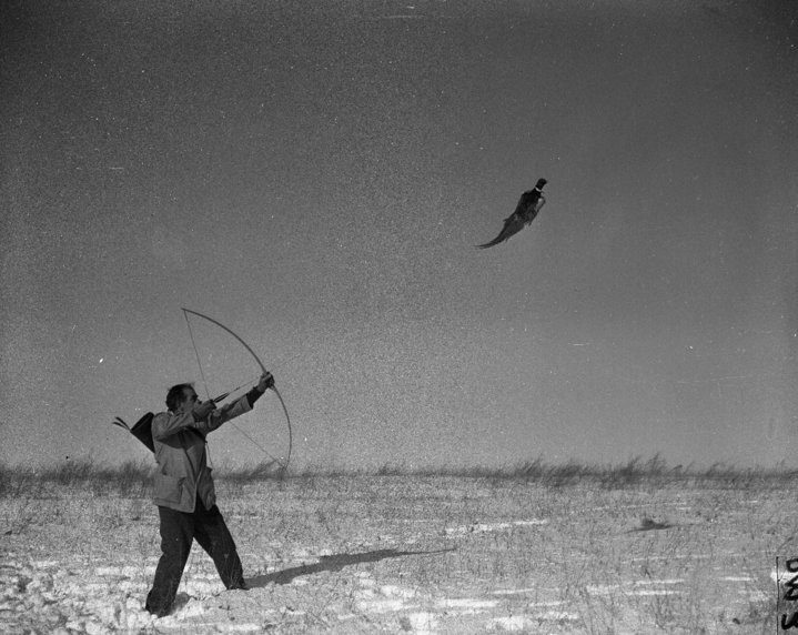 Bird hunt bow and arrow Snaro