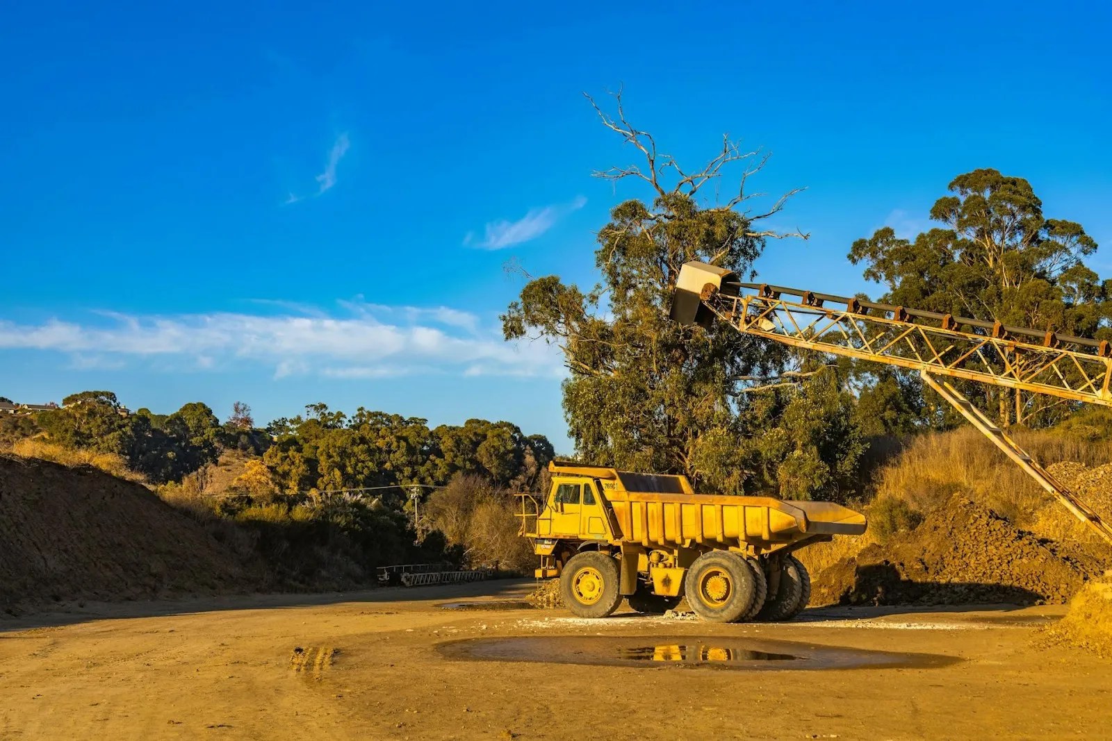 The Role of Technology in Modern Procurement Automation, Analytics, and Beyond