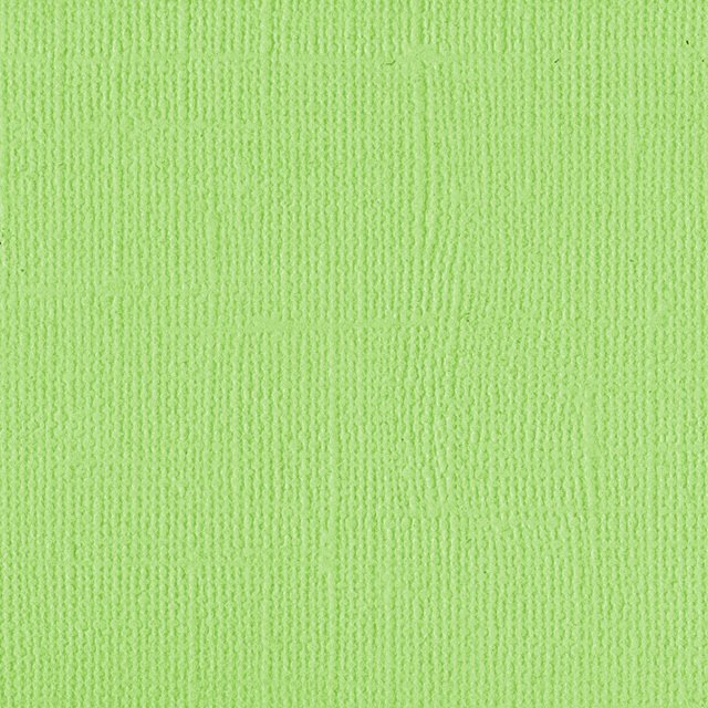 205531 Green Melon Pack of 5 Snazzi Scrappin'