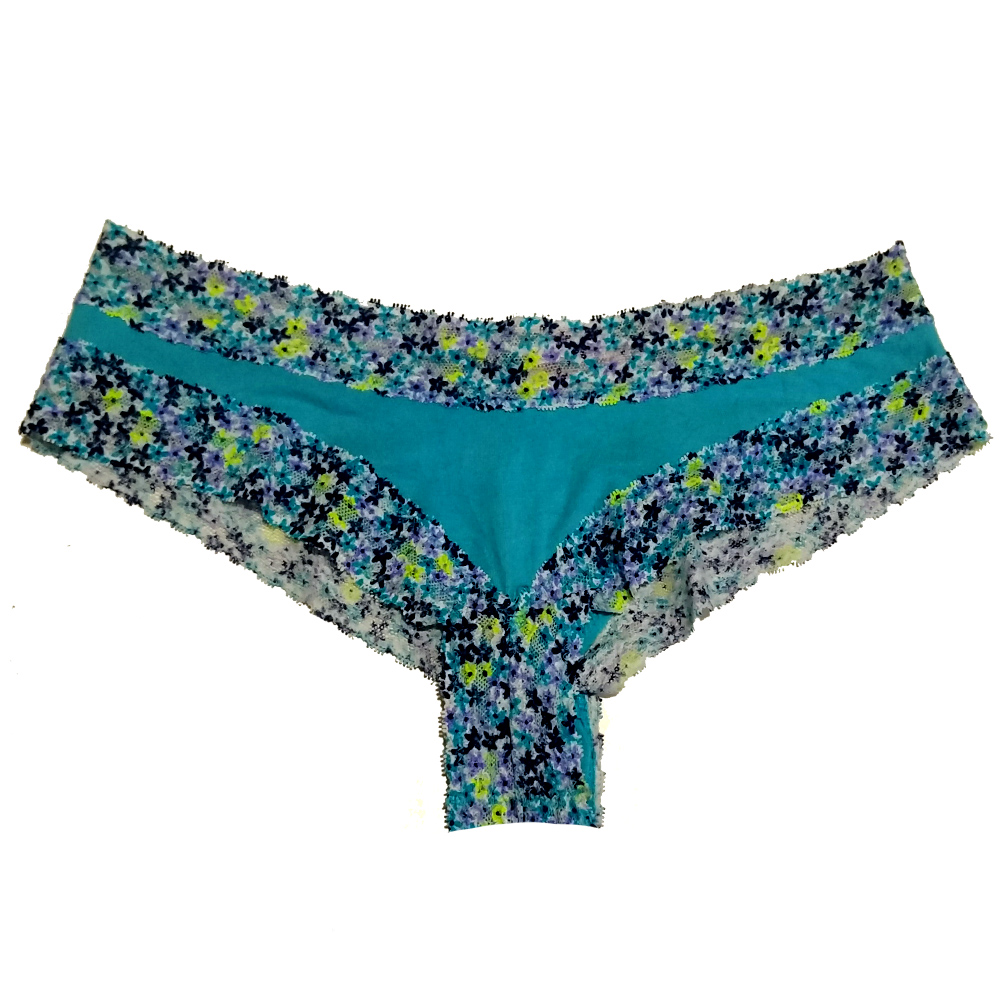 Victoria's Secret Cheeky Scalloped Lace Hipster In Blue