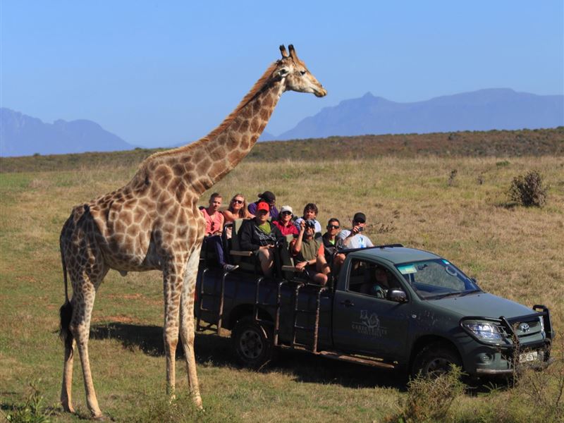 Garden Route Game Lodge