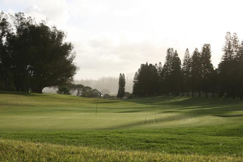 East London Golf Club Special Deals and Offers Book Now!