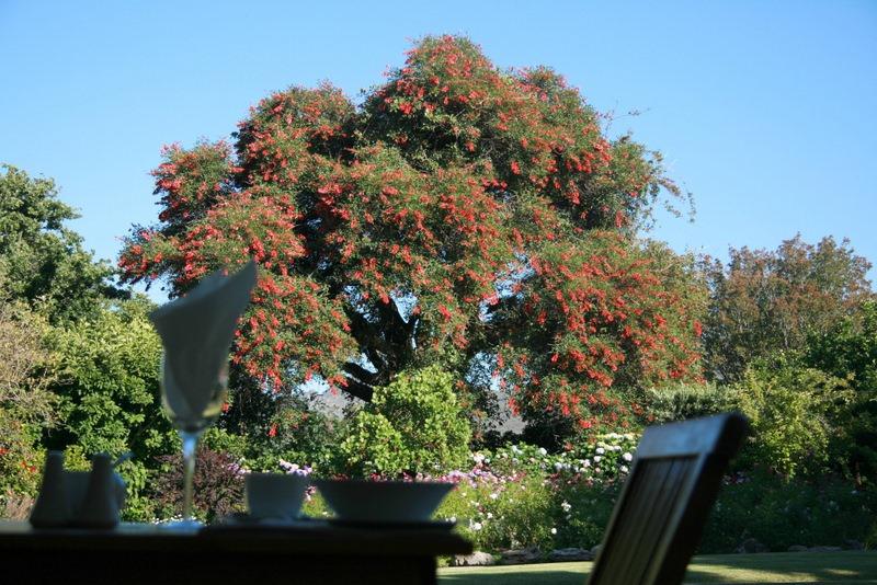 La Provence Vineyard Cottages Get the Best Deal Book