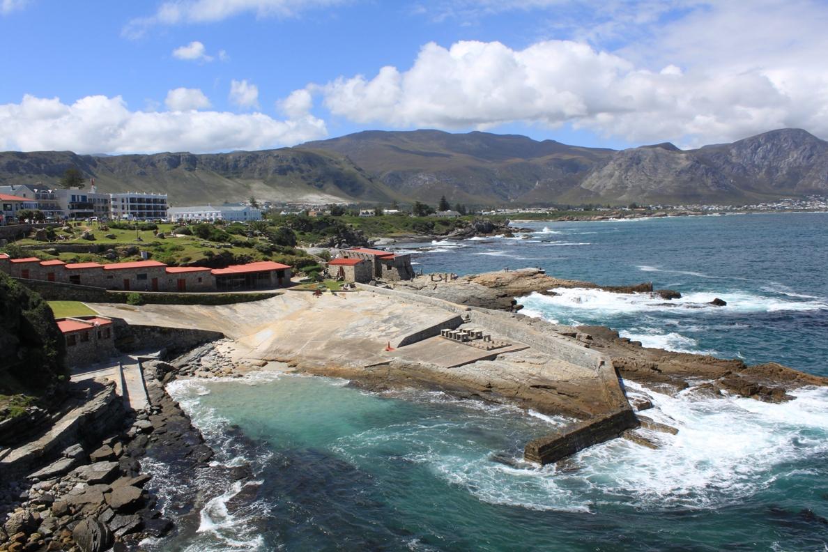 Hermanus Activities Tours and Adventures Book Your Dream Self