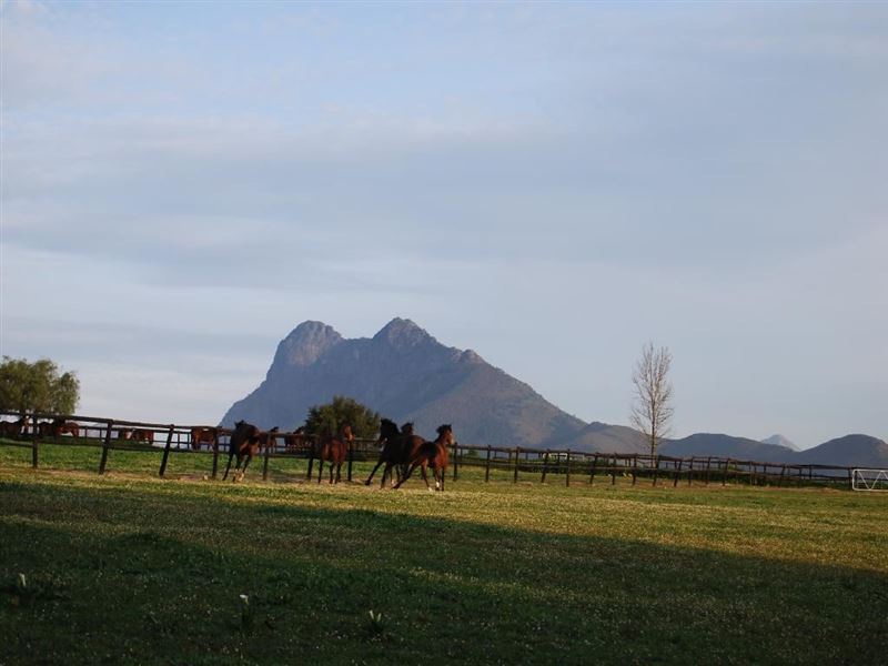 Bona Vista Book Your Dream SelfCatering or Bed and Breakfast Now!