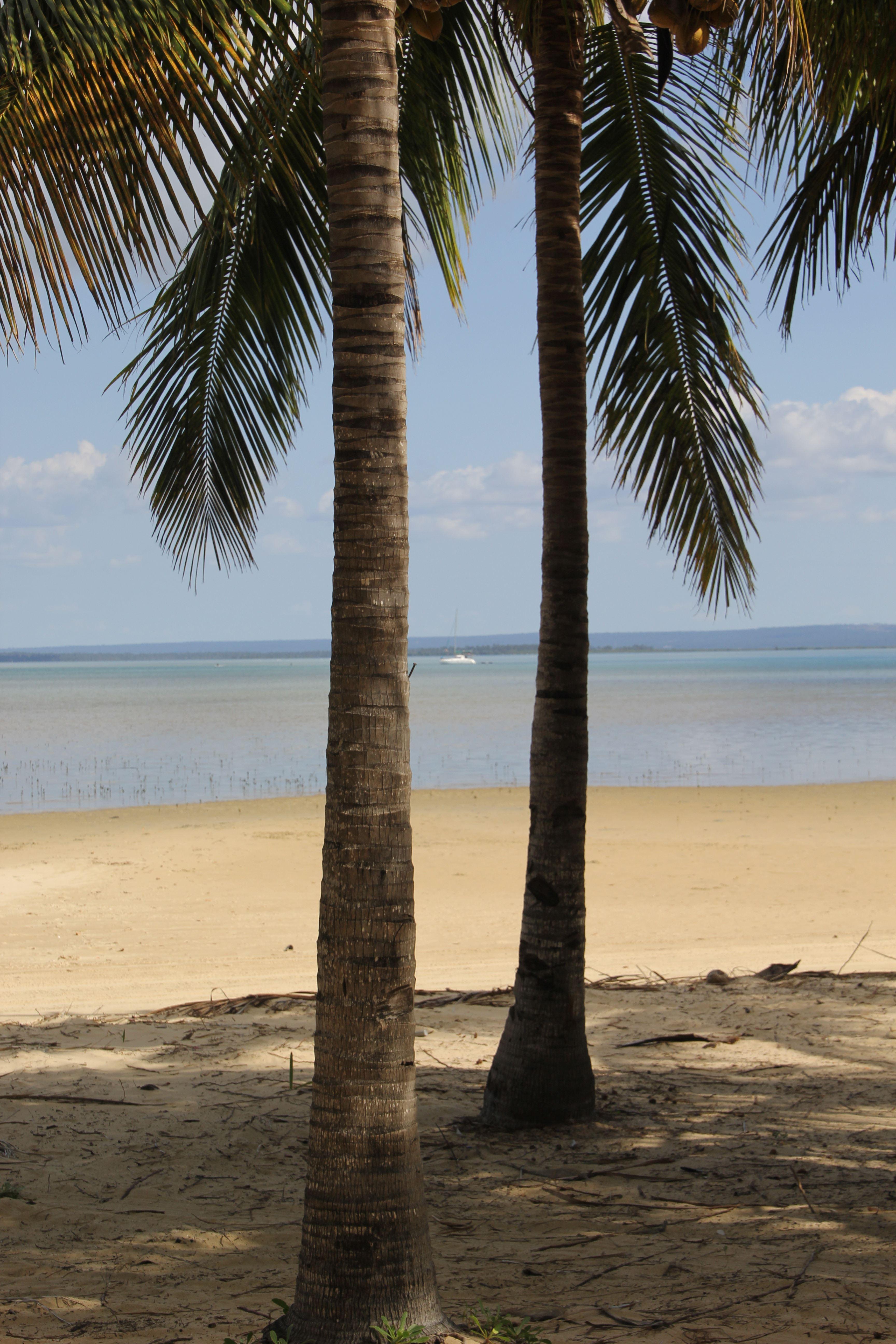 Campbell's Bay Resort & Marina Affordable Deals Book SelfCatering