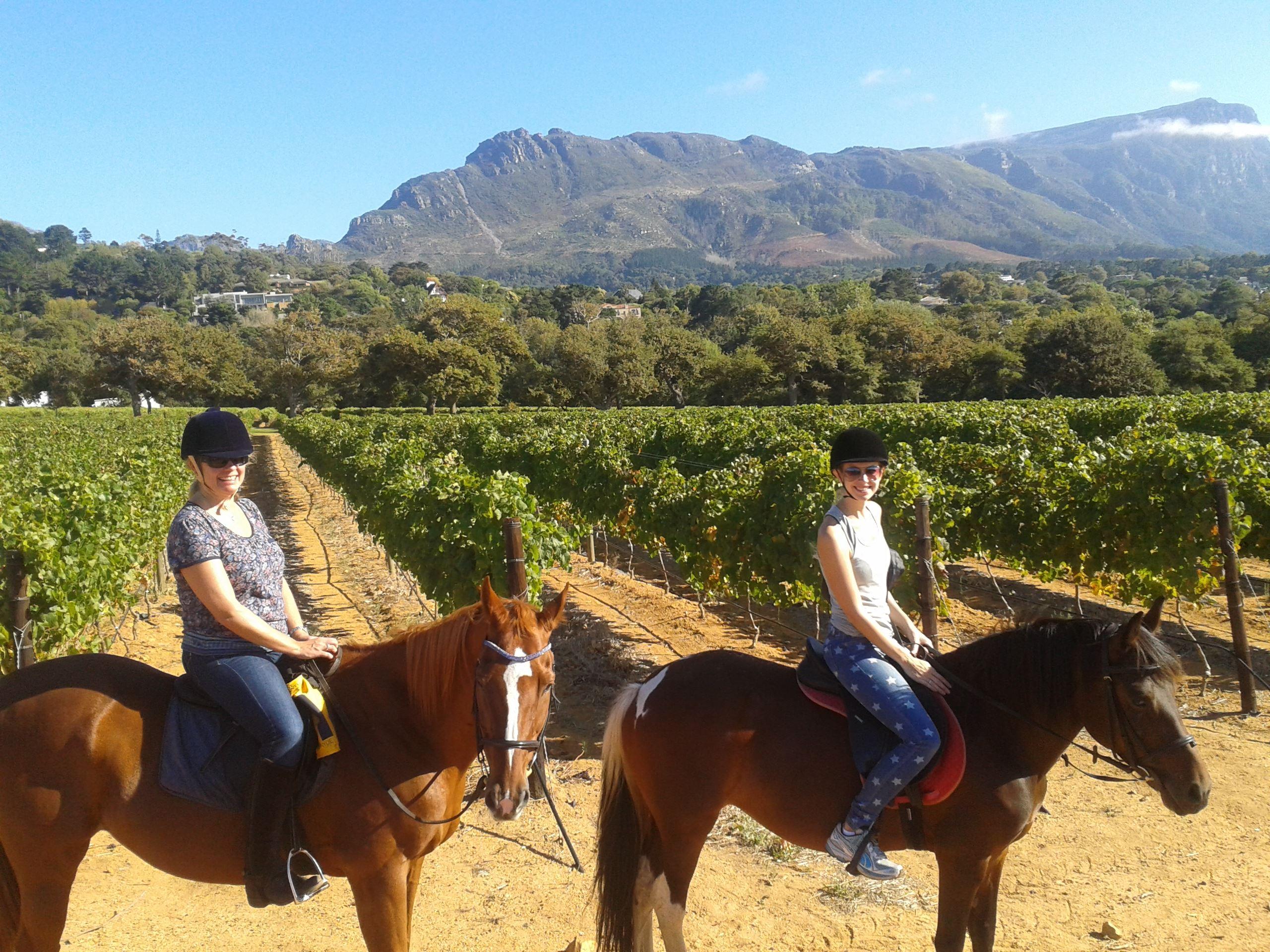 Horse Riding Cape Town Secure Your Hotel, SelfCatering, or Bed and
