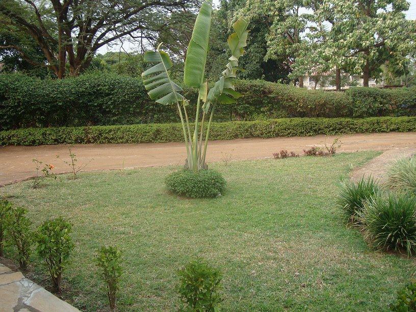 The Clarice House Special Deals and Offers Book Now!