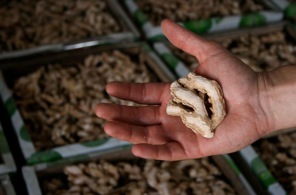 Jew Town Book Your Dream SelfCatering or Bed and Breakfast Now!