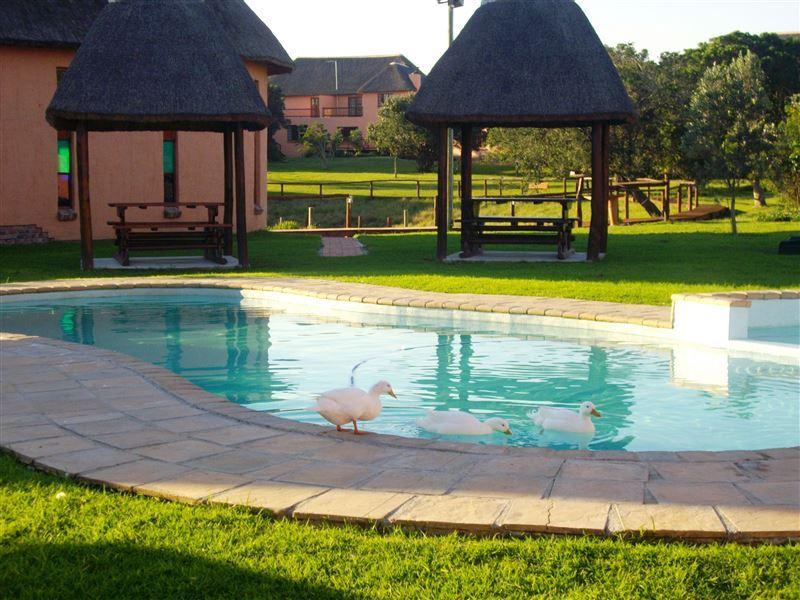 Green Fountain Villa No.5 Affordable Deals Book SelfCatering or