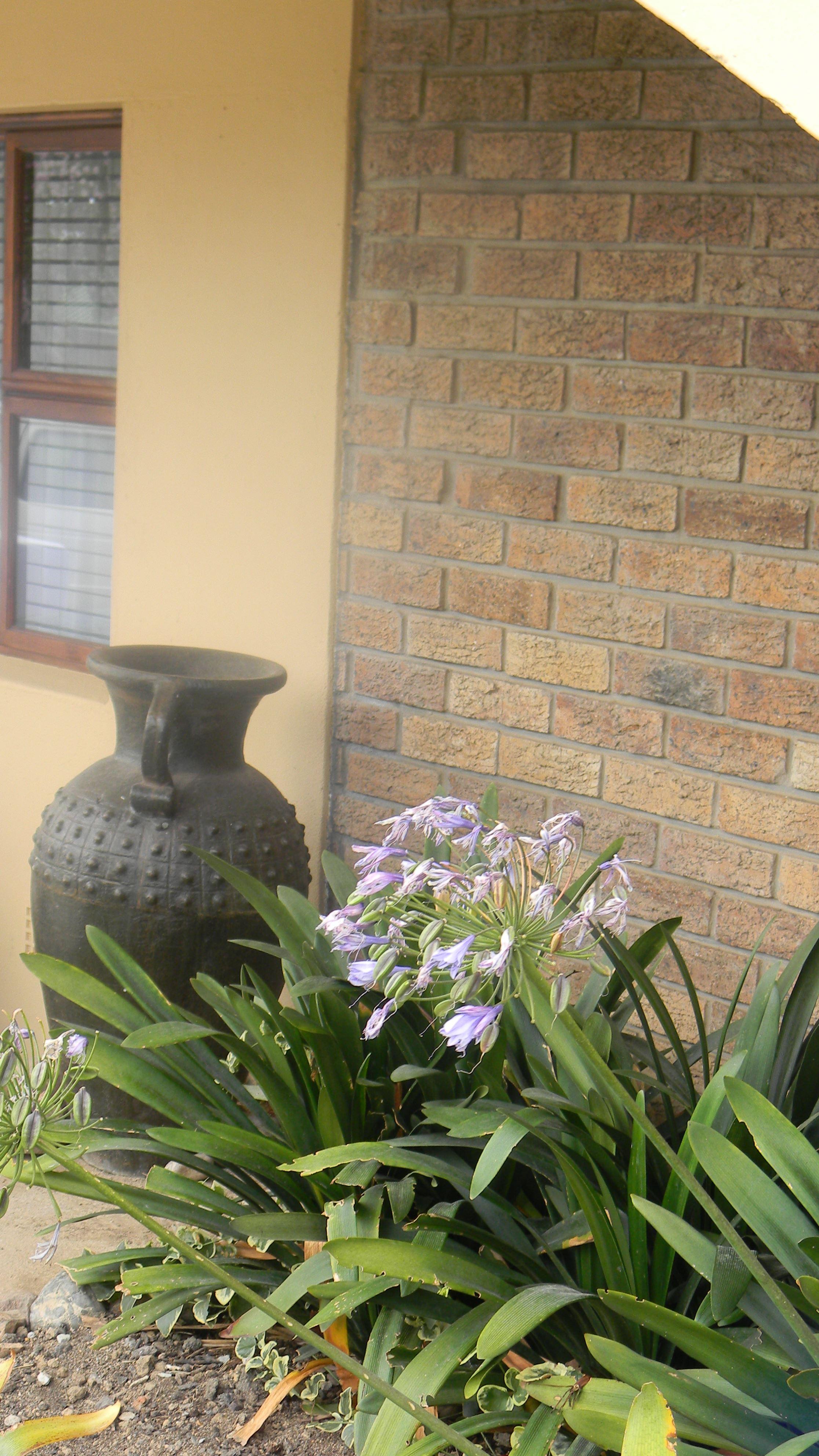 Zamar Guest House Affordable Deals Book SelfCatering or Bed and