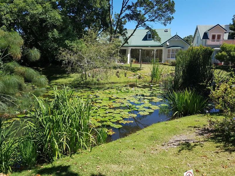 4289 River Club, Plettenberg Bay Special Deals and Offers Book Now!