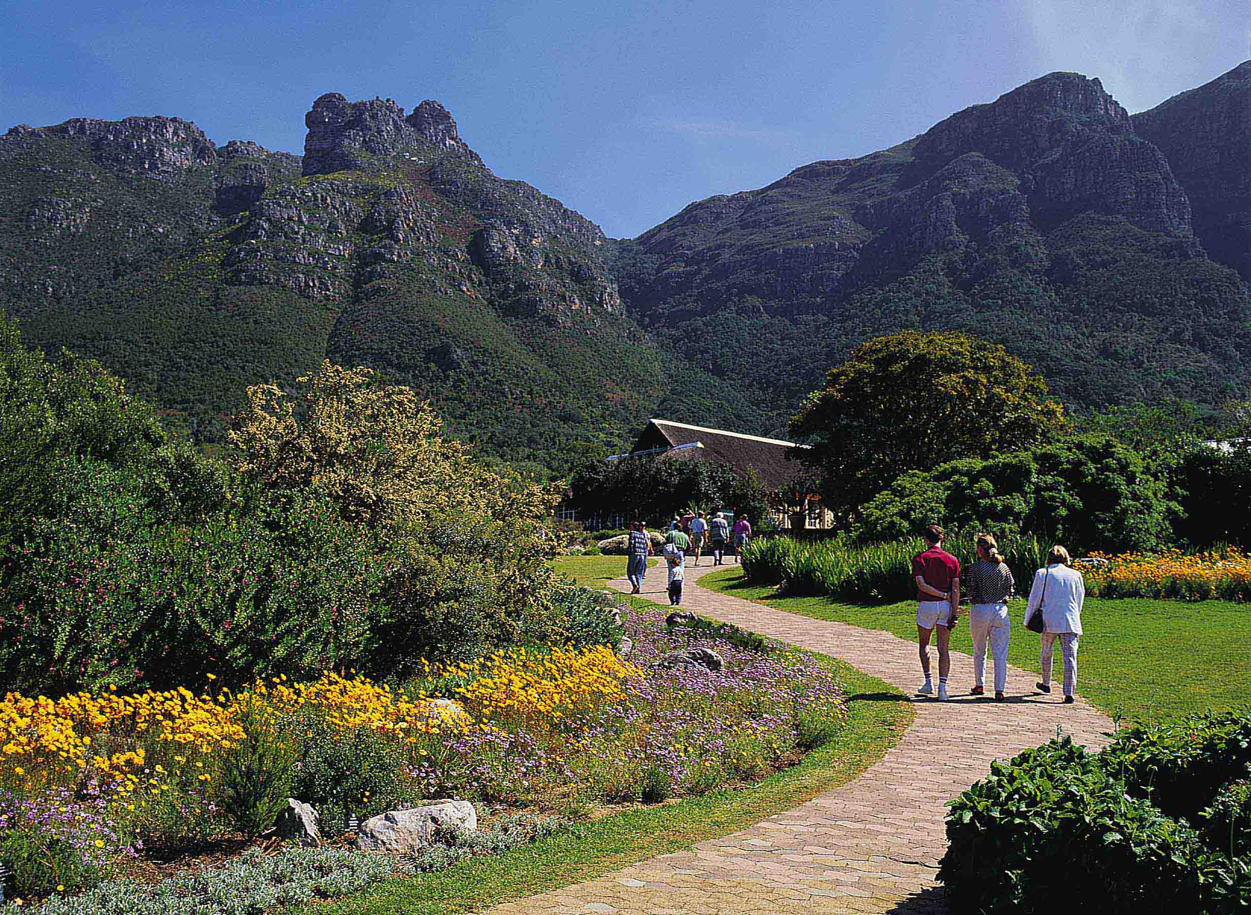 Kirstenbosch Gardens