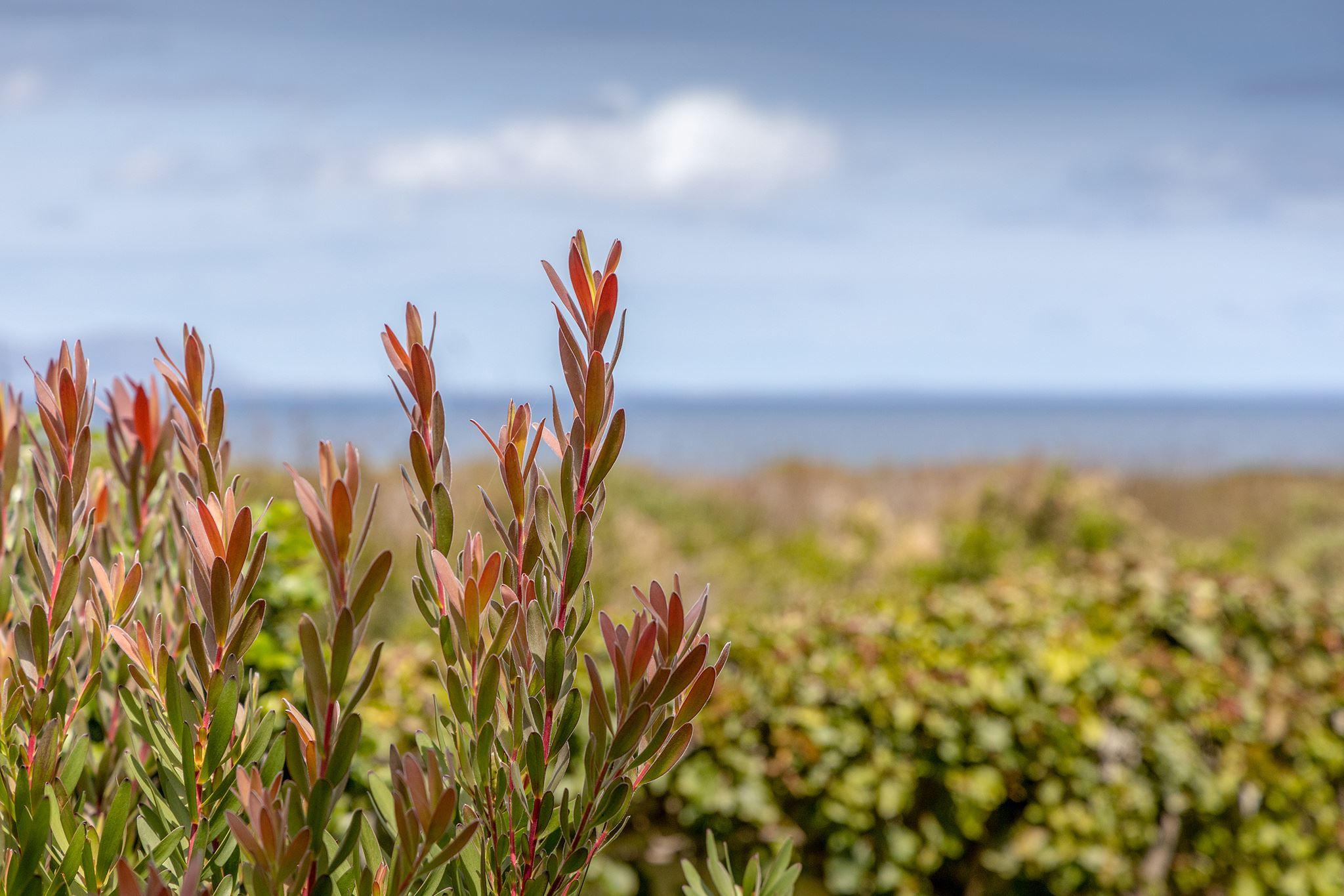 Marine Terrace by Top Destinations Rentals Reserve Your Hotel, Self