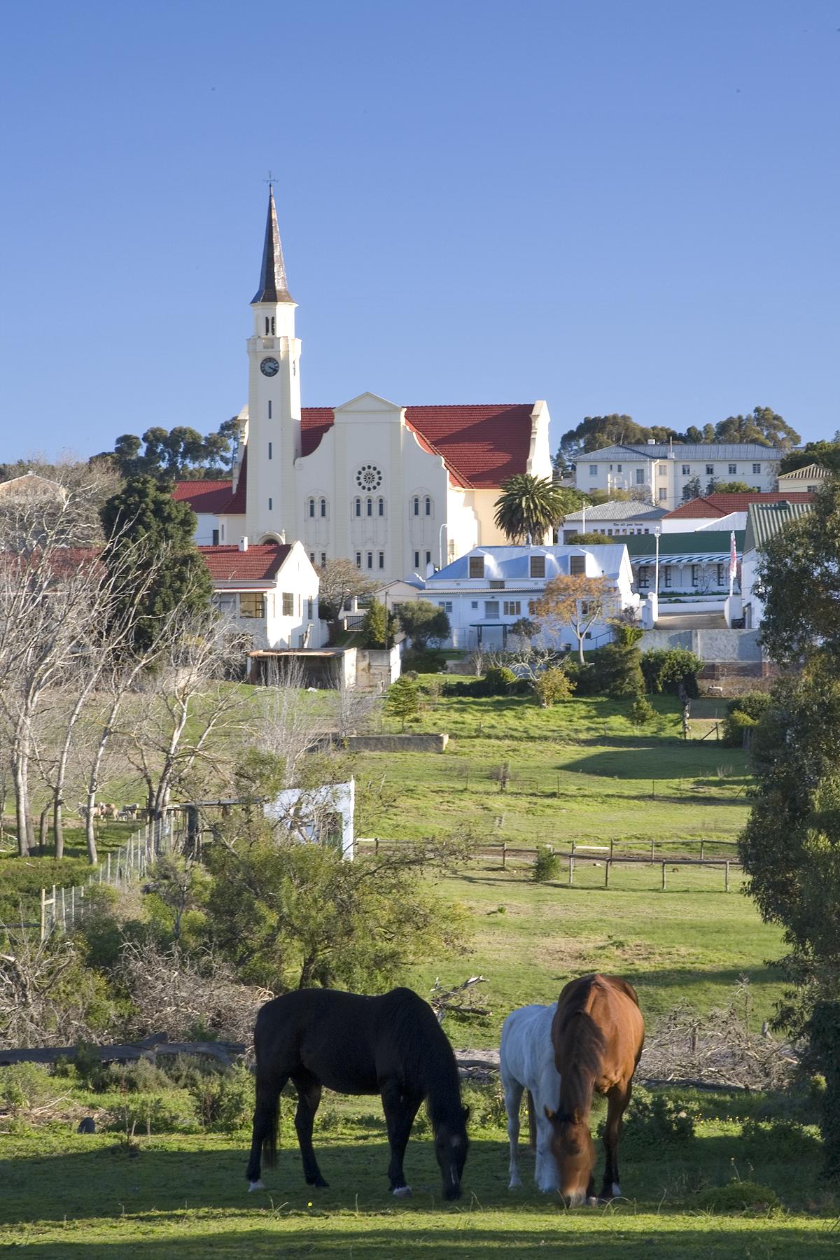 Napier Village Market Find Your Perfect Lodging, SelfCatering, or